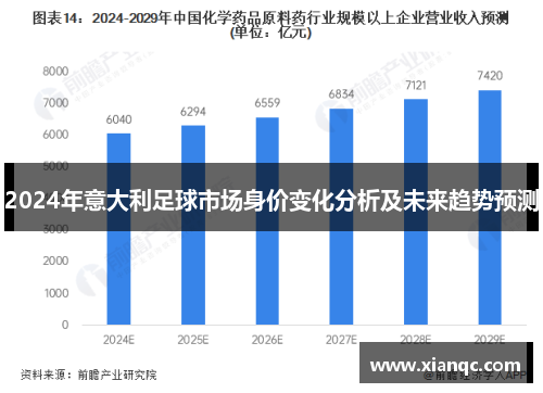 2024年意大利足球市场身价变化分析及未来趋势预测