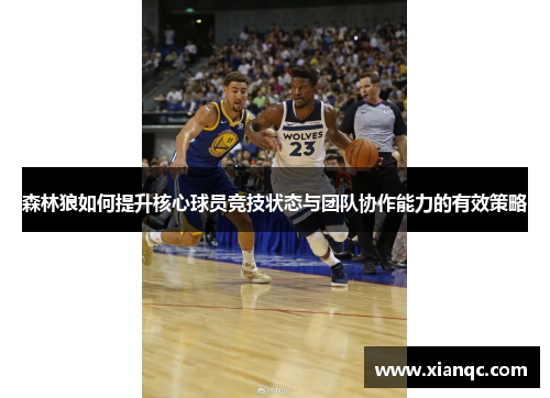 森林狼如何提升核心球员竞技状态与团队协作能力的有效策略